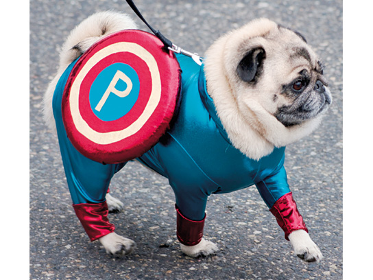 Costumes - Pugs are Awesome